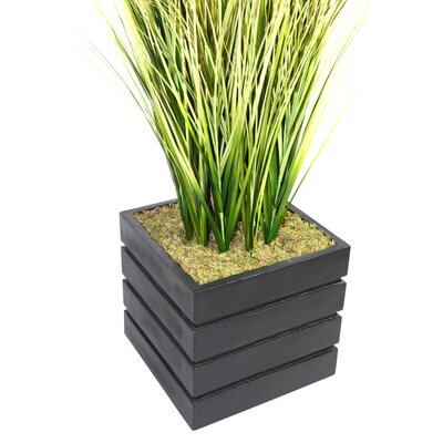 Laura Ashley Home Tall Onion Grass in Square Fiberstone Pot & Reviews